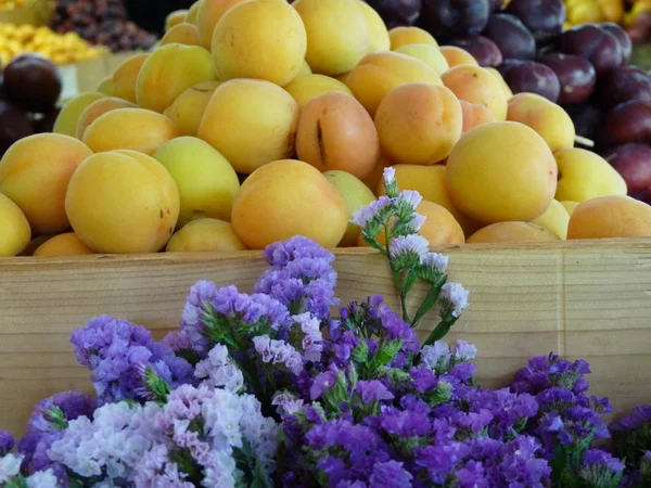 Abrikoos en paarse bloemen — Stockfoto