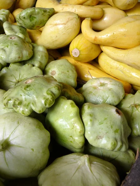 Squash och zucchini — Stockfoto