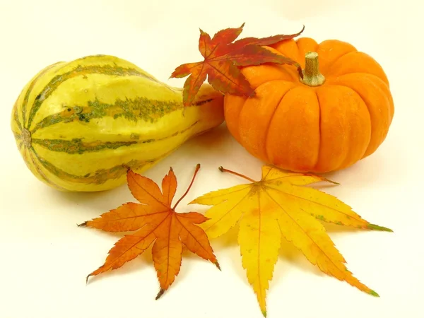 Abóbora, Squash e folhas de outono — Fotografia de Stock