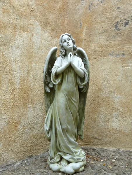 Engel betet — Stockfoto