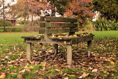 Bench_in_the_park