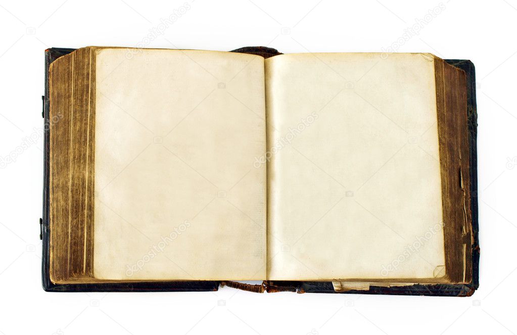 Blank old book