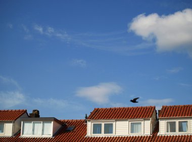 Turuncu rooftops