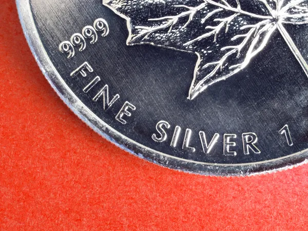 Fijn zilveren munt — Stockfoto