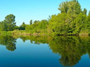 ağaçlar ve Nehri