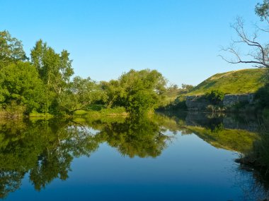 ağaçlar ve Nehri