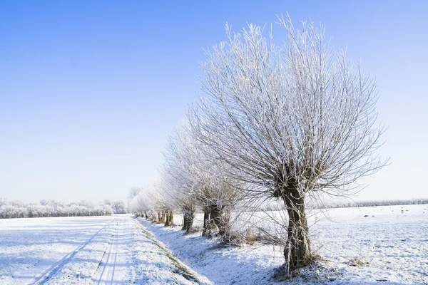Terreni agricoli congelati — Foto Stock