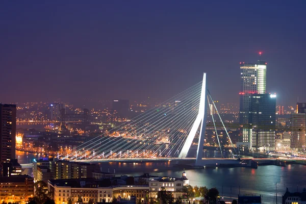 Ρότερνταμ erasmus γέφυρα — Φωτογραφία Αρχείου