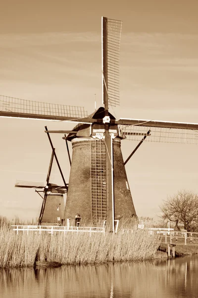 Nederlandsk vindmølle – stockfoto