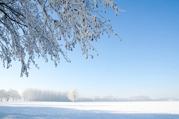 Inverno nevoso — Foto Stock