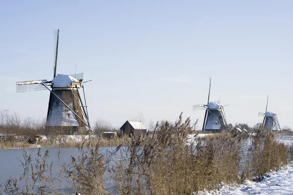 Moulins à vent néerlandais — Photo