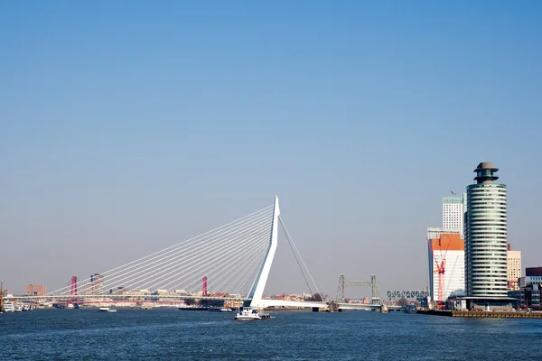 鹿特丹伊拉斯莫斯桥 — 图库照片