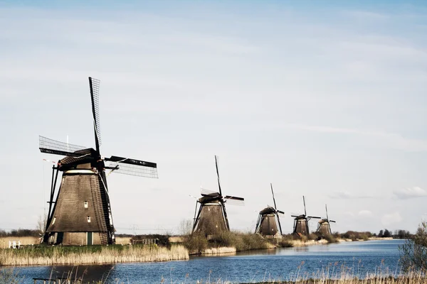 Wiatraki w Kinderdijk — Zdjęcie stockowe