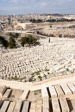 Mount of Olives, Israel clipart