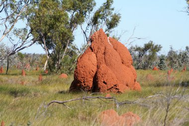 Termite hill clipart