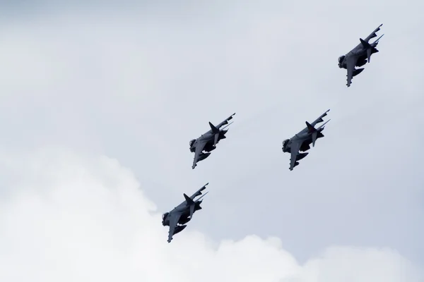 Harriers de la RAF — Photo