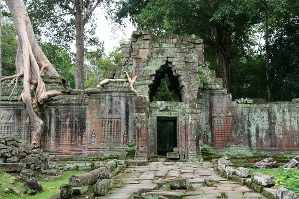 Angkor wat ruinerna — Stockfoto