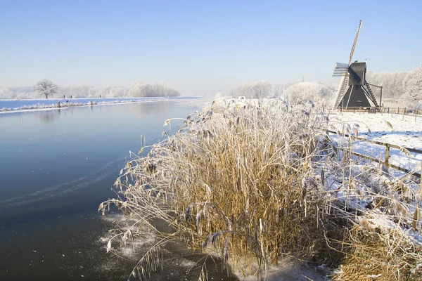 Paesi Bassi congelati — Foto Stock