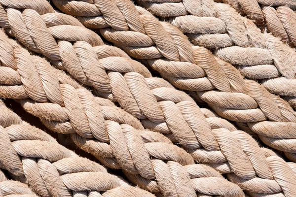 stock image Row of Ropes