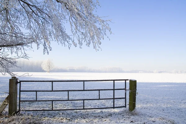 Зимняя ферма — стоковое фото