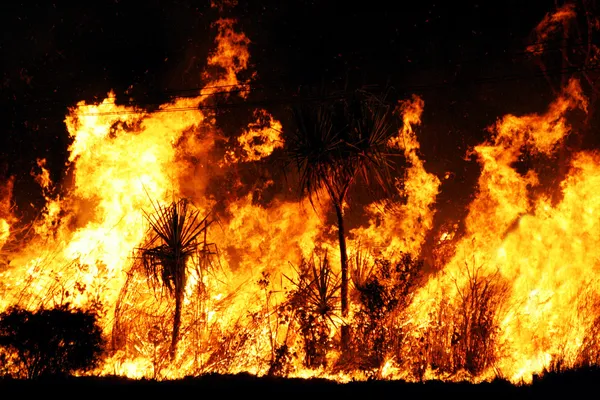 Incendio boschivo — Foto Stock