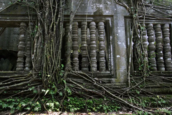 Angkor Wat ruin — Stock Photo, Image