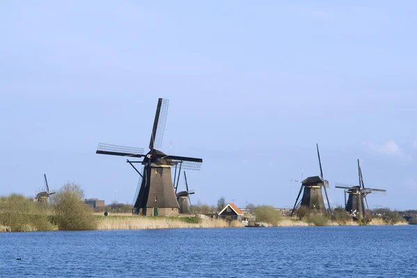 Nederlandske vindmøller – stockfoto