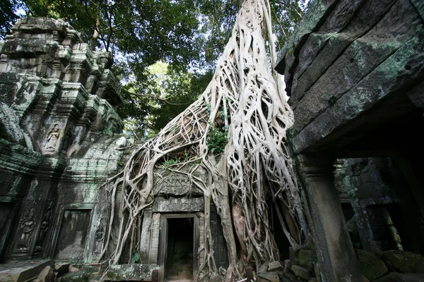 Ангкор-Ват-Камободжа — стоковое фото