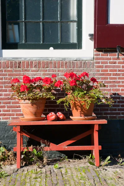 stock image Dutch flowers & clogs
