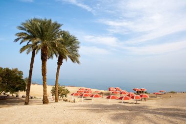 Dead Sea - Israel clipart