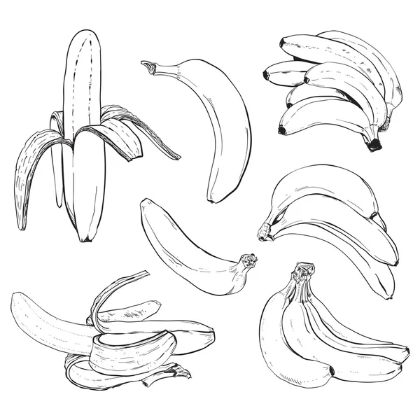 Банан набір — стоковий вектор