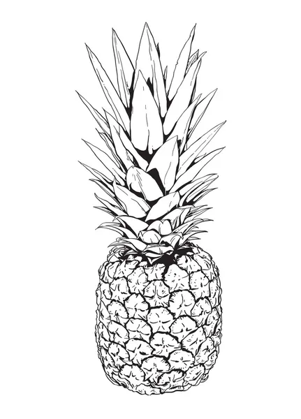 菠萝 — 图库矢量图片