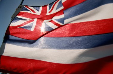 Hawaiian Flag #2 clipart