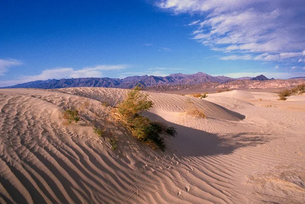 Death valley písečné duny — Stock fotografie