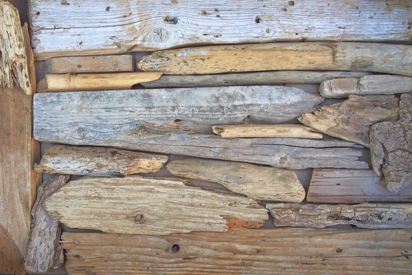 stock image Twigs polished by the sea