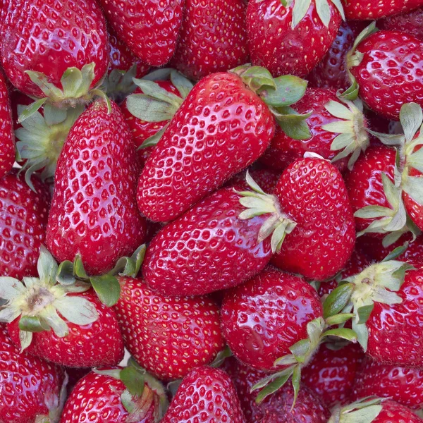 Raw fresh strawberries closeup — Stock Photo, Image