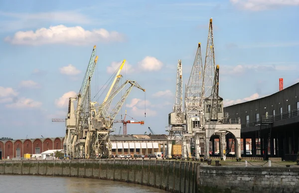 Grues portuaires Anvers — Photo