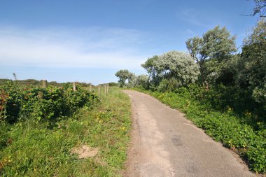 Dune yolu