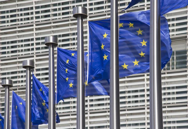 Brüksel'deki Avrupa Birliği bayrağı — Stok fotoğraf