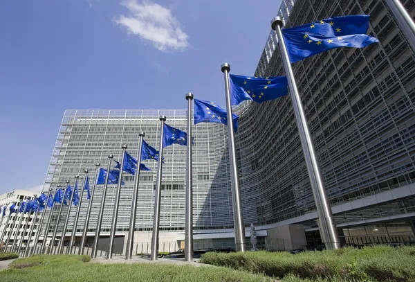 Прапори Євросоюзу в Брюсселі Стокове Фото