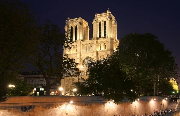 Notre Dame à noite — Fotografia de Stock