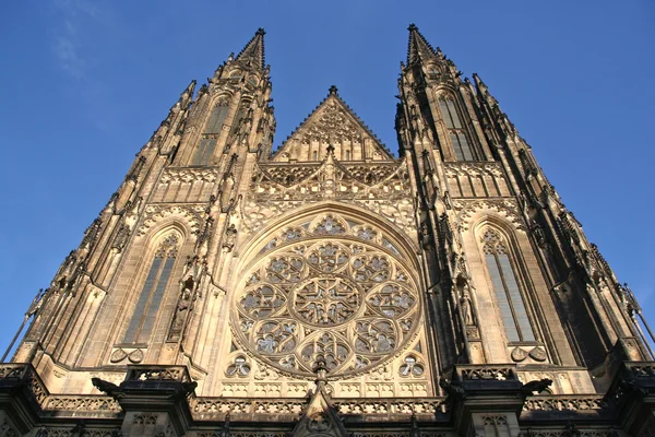 Praag kathedraal — Stockfoto