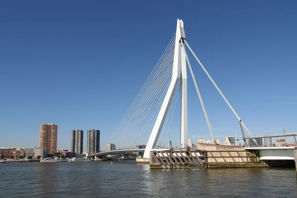 Erasmusbridge in Rotterdam — Stock Photo, Image