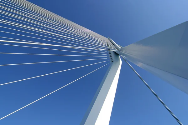 Mostu Erasmusbrug rotterdam — Zdjęcie stockowe