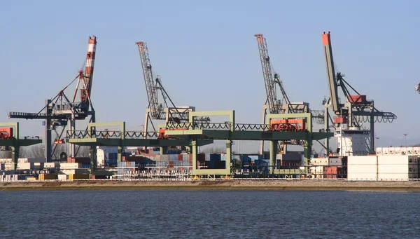 Puerto de Rotterdam — Foto de Stock