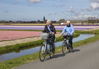 Cycling in Tulip Fields clipart