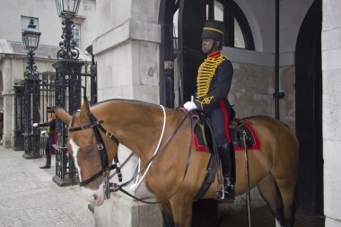 zwarte paard bewaken Londen