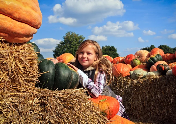 Girl with a pumpkins — Stock Photo, Image