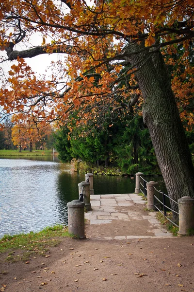 Herbst im alten Park — Stockfoto