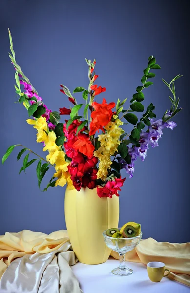 Colorful gladioluses — Stock Photo, Image